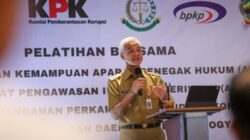 Ganjar APIP
