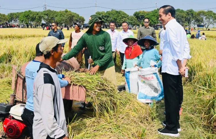 Presiden Jokowi Indramayu