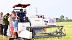 Pj Gubernur Sulsel Panen di Pinrang