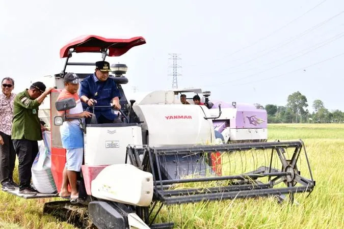 Dilanda El Nino, Petani Pinrang Masih Pesta Panen Padi, Pj Gubernur Sulsel Optimistis Surplus 2 Juta Ton Beras Tercapai