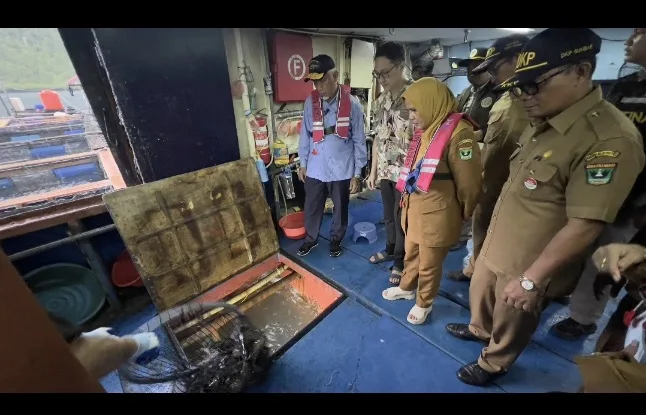 Gubernur Mahyeldi Tinjau Penen ikan Kerapu 20 Ton di Pesisir Selatan