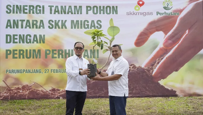 Tanam Ribuan Bibit Pohon di Kota Hujan, Cara Perhutani dan SKK Migas Tingkatkan Serapan Karbon