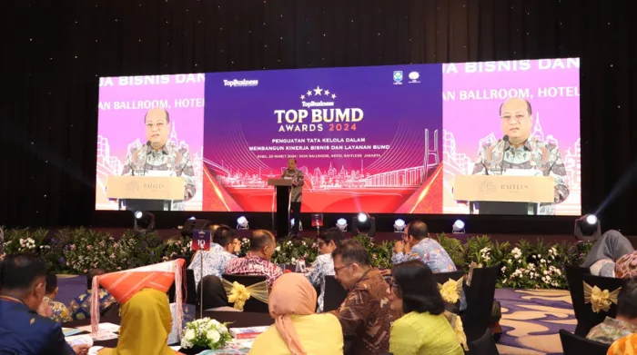 Kemendagri Minta Pemda Perkuat Pengelolaan BUMD, Tingkatkan Perekonomian dan Pembangunan Daerah