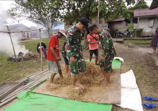 Satgas Pamtas RI-MLY Yonarmed 16/TK Pos Palapasang Bantu Proses Penjemuran Padi