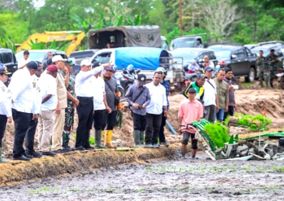 Mentan Amran: Maksimalkan Teknologi Modernisasi Pertanian Percepat Merauke Jadi Lumbung Pangan