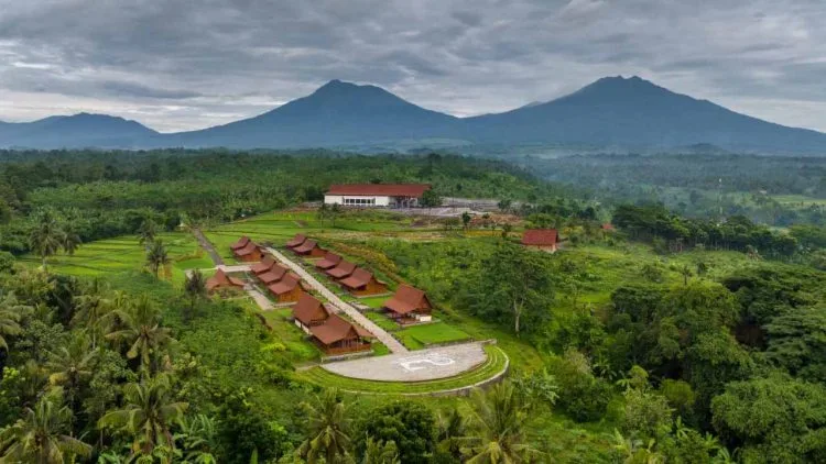 Penataan Kawasan Agrowisata Tamansuruh untuk Kenalkan Budaya dan Komoditas Pertanian Banyuwangi