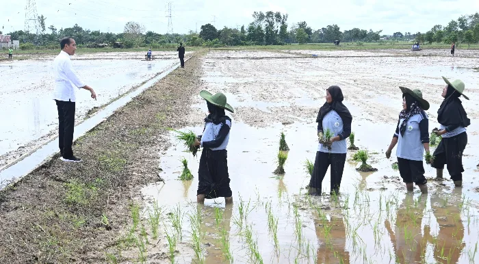 Antisipasi Kekeringan Panjang, Pemerintah Bakal Distribusikan 20-70 Ribu Unit  Pompa untuk Pompanisasi Pertanian
