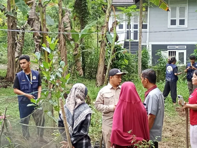 Anggota DPRD Fraksi PKS Syofian Hendri Dorong Pemanfaatan Perkarangan untuk Ketahanan Pangan