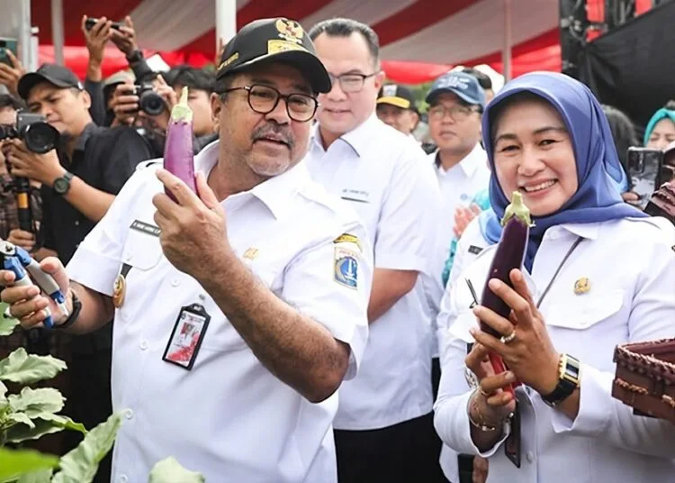 Pemprov DKI Jakarta Hasilkan 20 Ton Produk Hortikultura dalam Panen Raya Urban Farming di 266 Lokasi