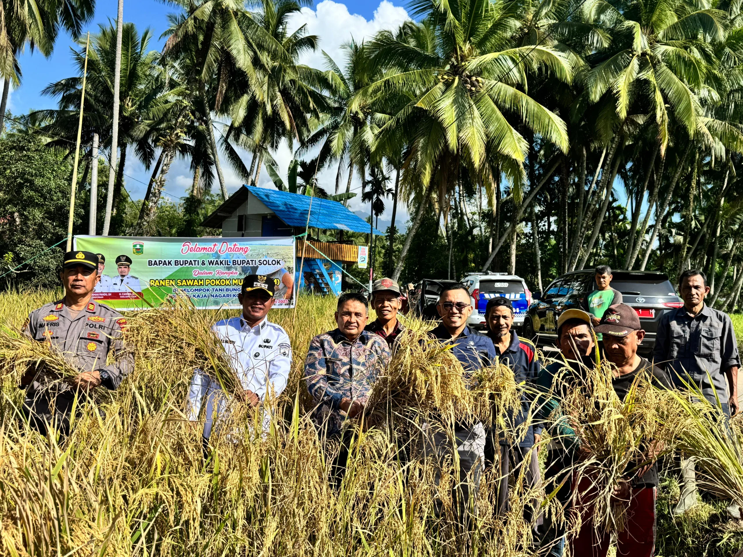 "Basawah Pokok Murah", Inovasi Jon Firman Pandu–Candra untuk Petani Solok Lebih Sejahtera dan Mandiri