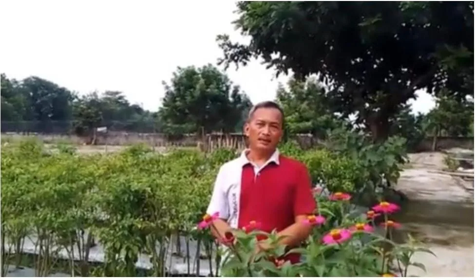 Menuju Kemandirian Pangan Nasional, Pemerintah dan Petani Klaten Perkuat Komitmen Swasembada Pangan