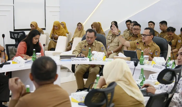 Jalankan Program SKALA, Ini Target yang Ingin Dicapai Kemendagri
