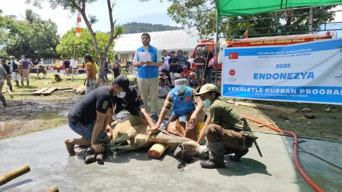 Salurkan 100 Ekor Sapi Kurban di Idul Adha 1446 H, Pemerintah Turki Gandeng Yakesma Jakarta