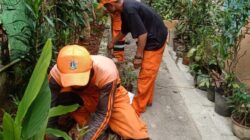 Rekrutmen Pasukan Oranye Ternoda oleh Dugaan Pungli