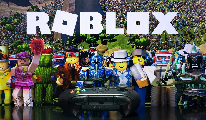 Komisi X DPR Dukung Wacana Pelarangan Game Roblox