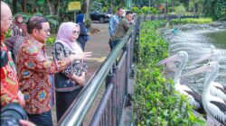 Gubernur Pramono Minta Dibangun Parkir Mobil Bertingkat bagi Pengunjung Kebun Binatang Ragunan