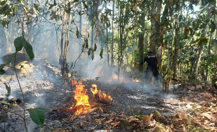 Info BNPB: Situasi dan Penanganan Bencana di Indonesia Hingga 4 Agustus 2025