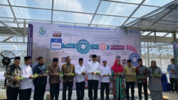 Nevi Zuairina Dorong Pertanian Modern, Dukung Budidaya Melon Premium Hidroponik di Sumbar