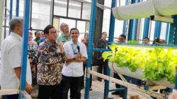 Dukung Urban Farming, Gubernur Pramono Minta Pemprov DKI Siapkan Panel Surya