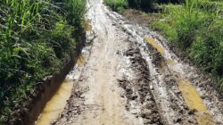 Janji Kampanye Bupati Agam Tentang Infrastruktur Hingga Ke Pelosok Nagari Hanya Omon-Omon