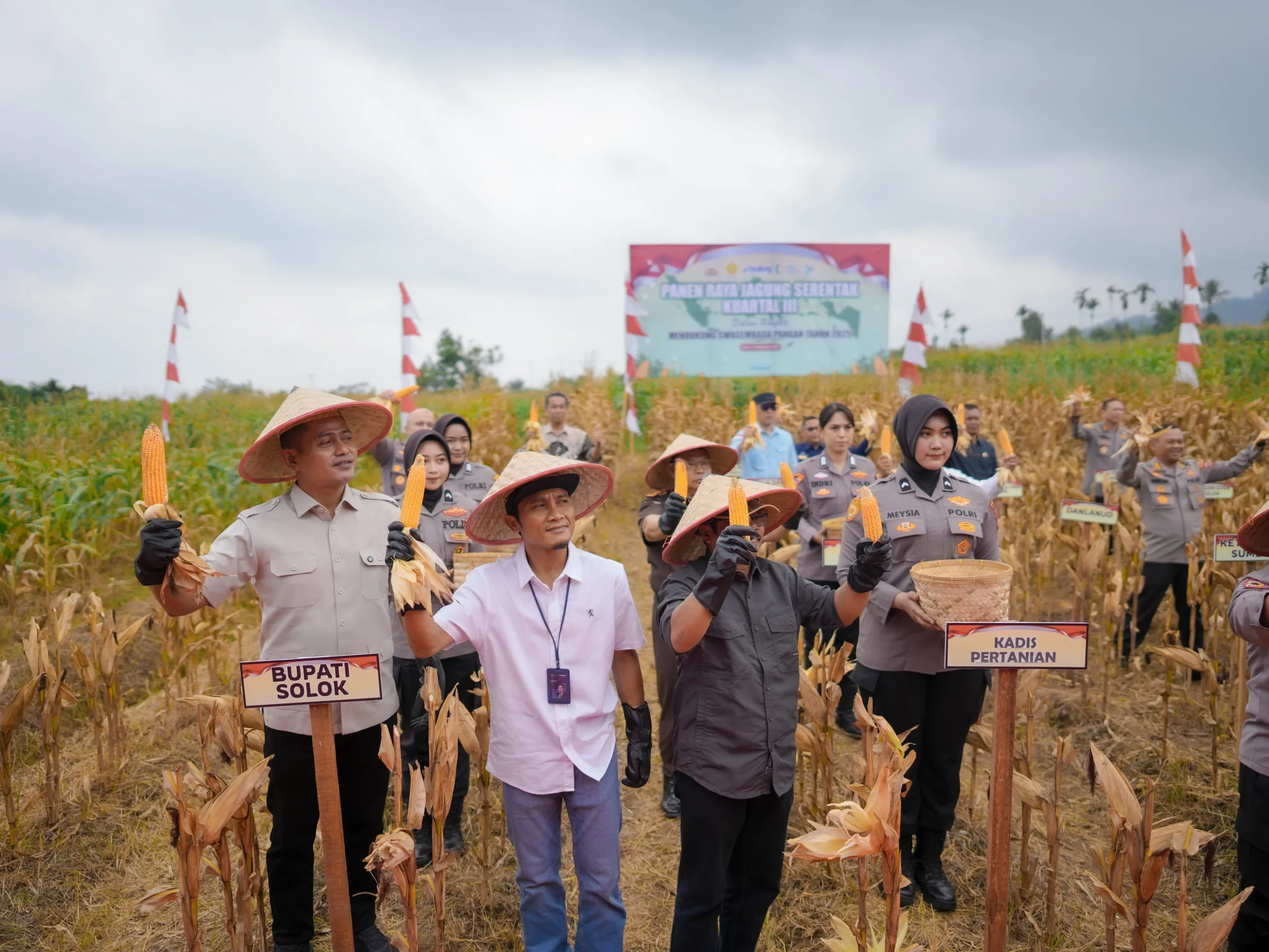 Bersama Kapolda Bupati Solok Hadiri Panen Raya Jagung Serentak