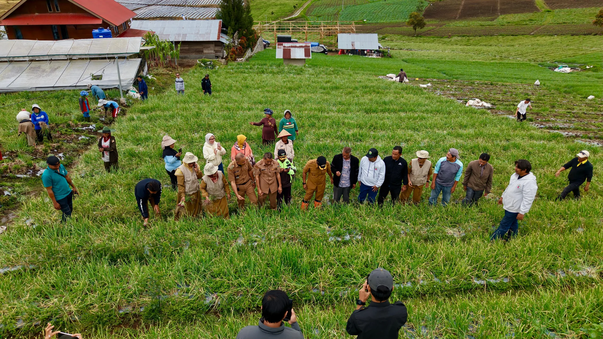Bupati Solok Hadiri Kegiatan Panen Bawang Merah di Jorong Rimbo Tinggi