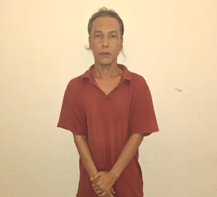 Polda Riau Gerebek Markas Sindikat Perdagangan Sisik Satwa Liar Trenggiling di Rohil