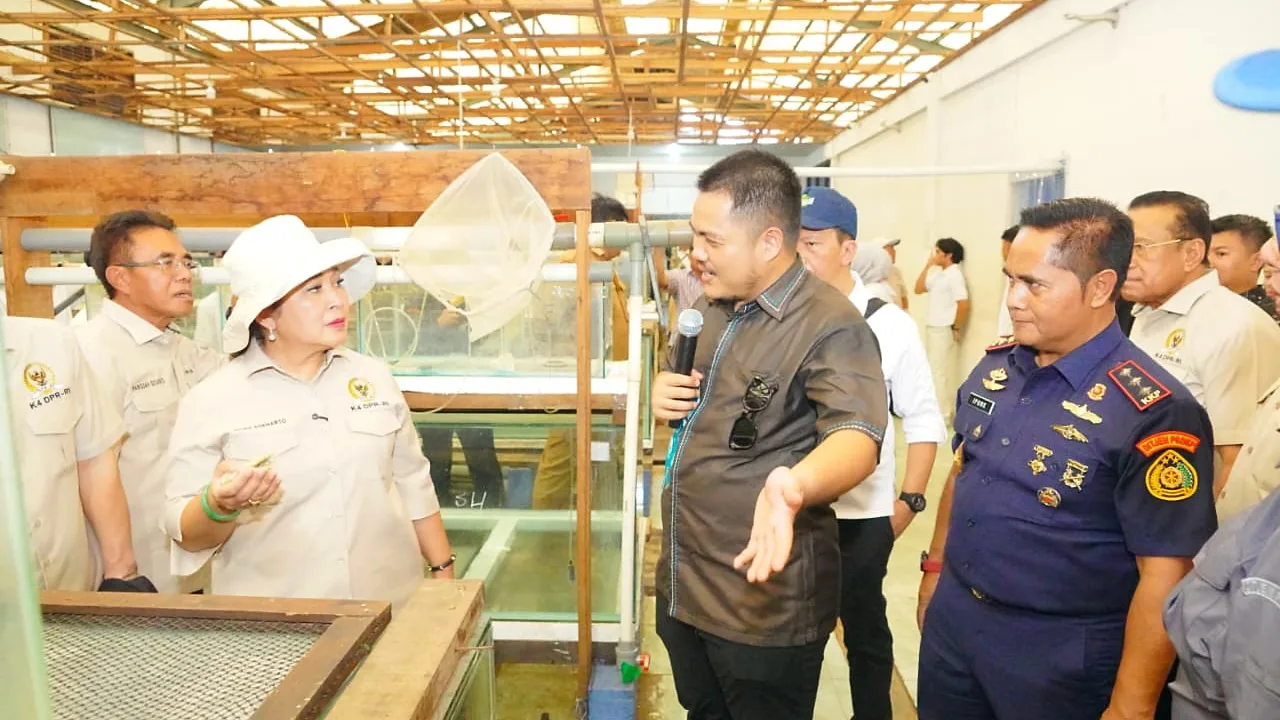 PSDKP Gelar Edukasi Kepatuhan Budidaya Arwana di Kalbar