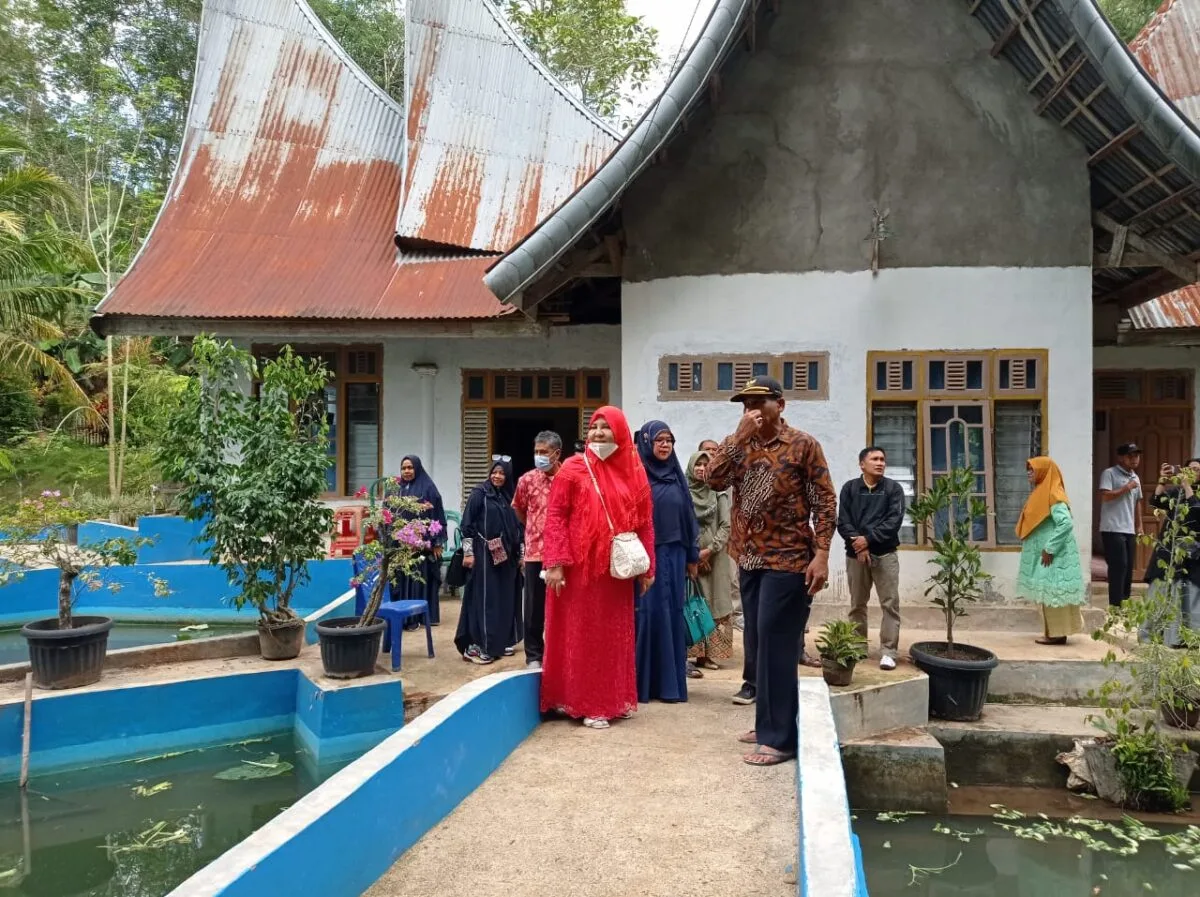 Nevi Zuairina Dorong Pembangunan Irigasi Tersier untuk Perkuat Ketahanan Pertanian Dua Nagari di Limapuluh Kota