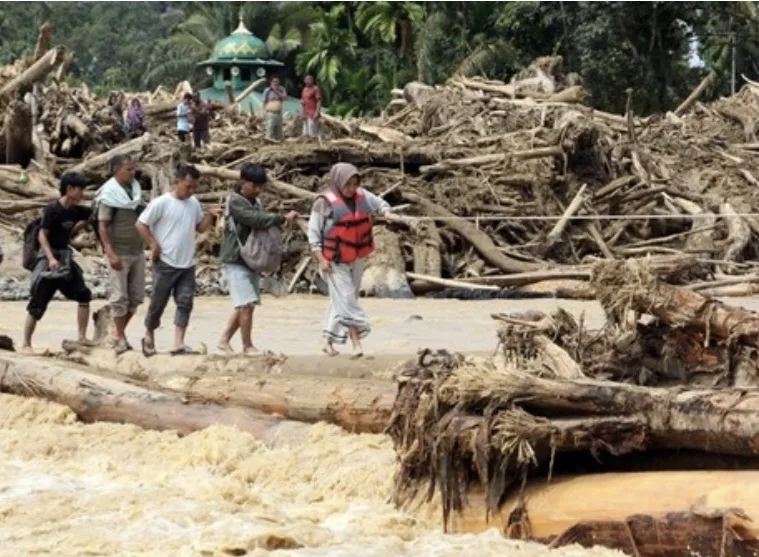 Haidar Alwi Apresiasi Presisi Kapolri Usut Kayu Gelondongan Banjir Sumatera