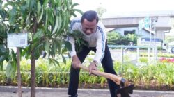 Wali Kota Jaktim Munjirin Tanam 10 Pohon Buah-buahan di Taman Gapura Muka Cakung