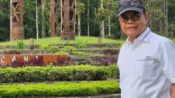 Pilkada Harus Ditata Ulang, Ini Alasan dan Solusinya