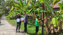 Usai Reses, Endarmy Realisasikan Permintaan Warga Terkait Lampu Jalan