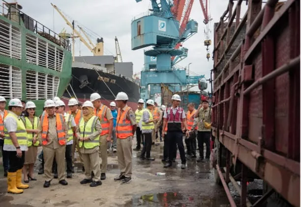 Sapi Impor Australia Masuk Tanjung Priok, Gubernur Pramono: Stok Daging Ramadan hingga Idul Fitri Aman Terkendali