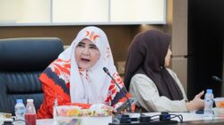 Nevi Zuairina Dorong Proyek SGAR Jadi Fondasi Hilirisasi Aluminium Nasional