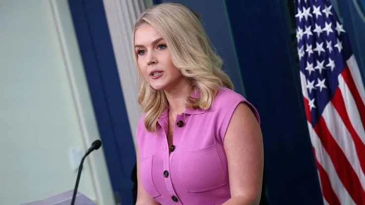 AS Sebut Informasi Ancaman Drone Iran ke Pantai California adalah Hoaks