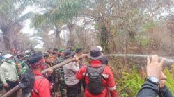 Polres Pelalawan Bongkar Kasus Karhutla, 500 Hektar Lahan Hangus!