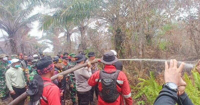 Polres Pelalawan Bongkar Kasus Karhutla, 500 Hektar Lahan Hangus!