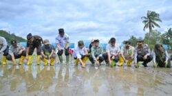 Pemprov Sumbar Siapkan Sejumlah langkah Strategis untuk Percepat Proses Rehabilitasi Sawah Terdampak Bencana