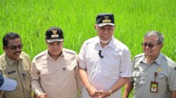 Pemerintah Percepat Pemulihan Lahan Terdampak Bencana dan Antisipasi Kekeringan Melalui Gerakan Tanam Serempak
