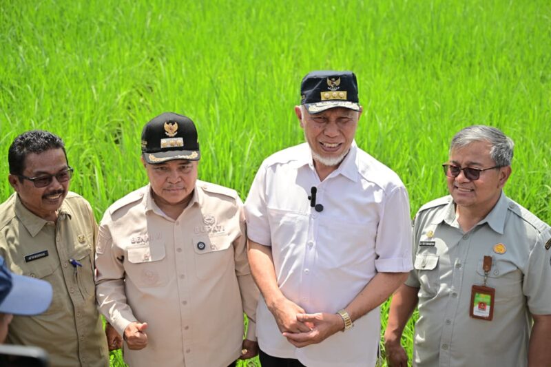 Pemerintah Percepat Pemulihan Lahan Terdampak Bencana dan Antisipasi Kekeringan Melalui Gerakan Tanam Serempak