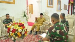 Gubernur Mahyeldi Terima Audiensi Dandim 0312 Padang, Bahas Penguatan Penanganan Bencana di Sumbar